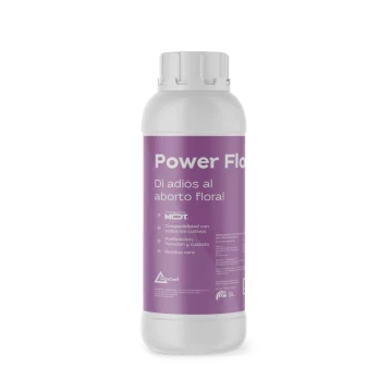 Power Flor