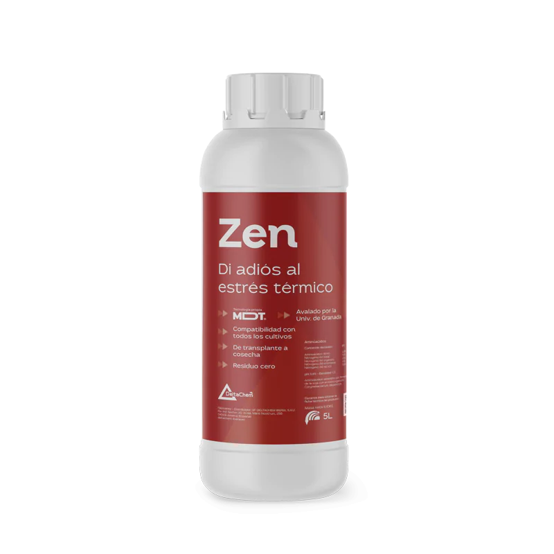 Zen