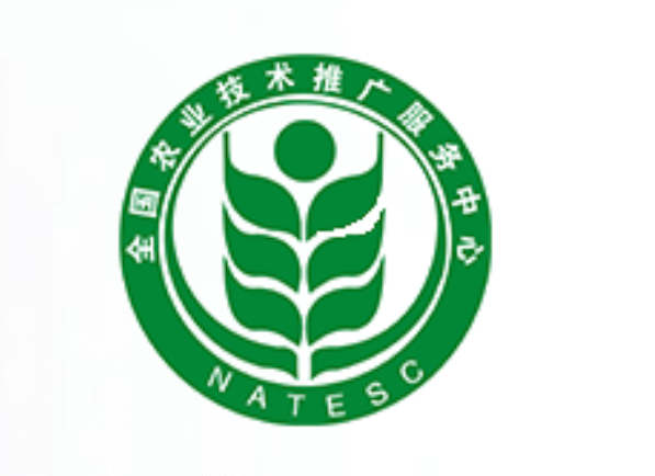 大学